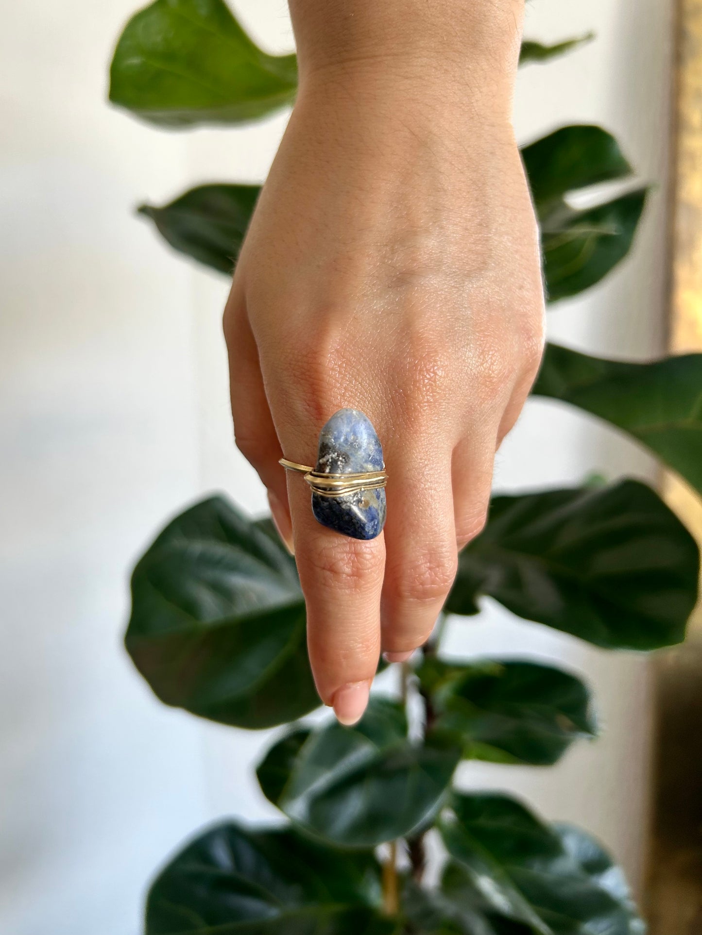 Anillo Sodalita