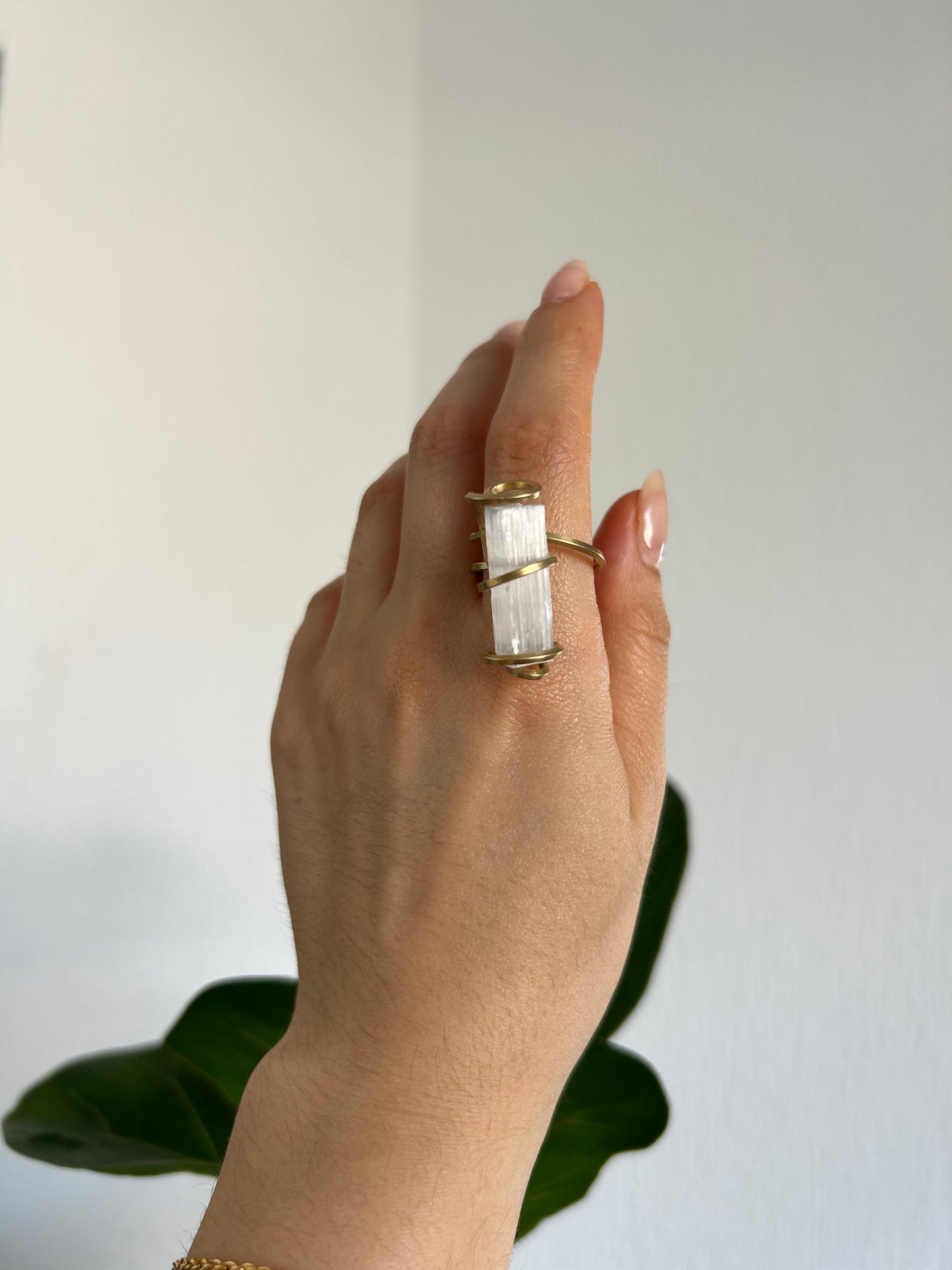 Anillo Selenita