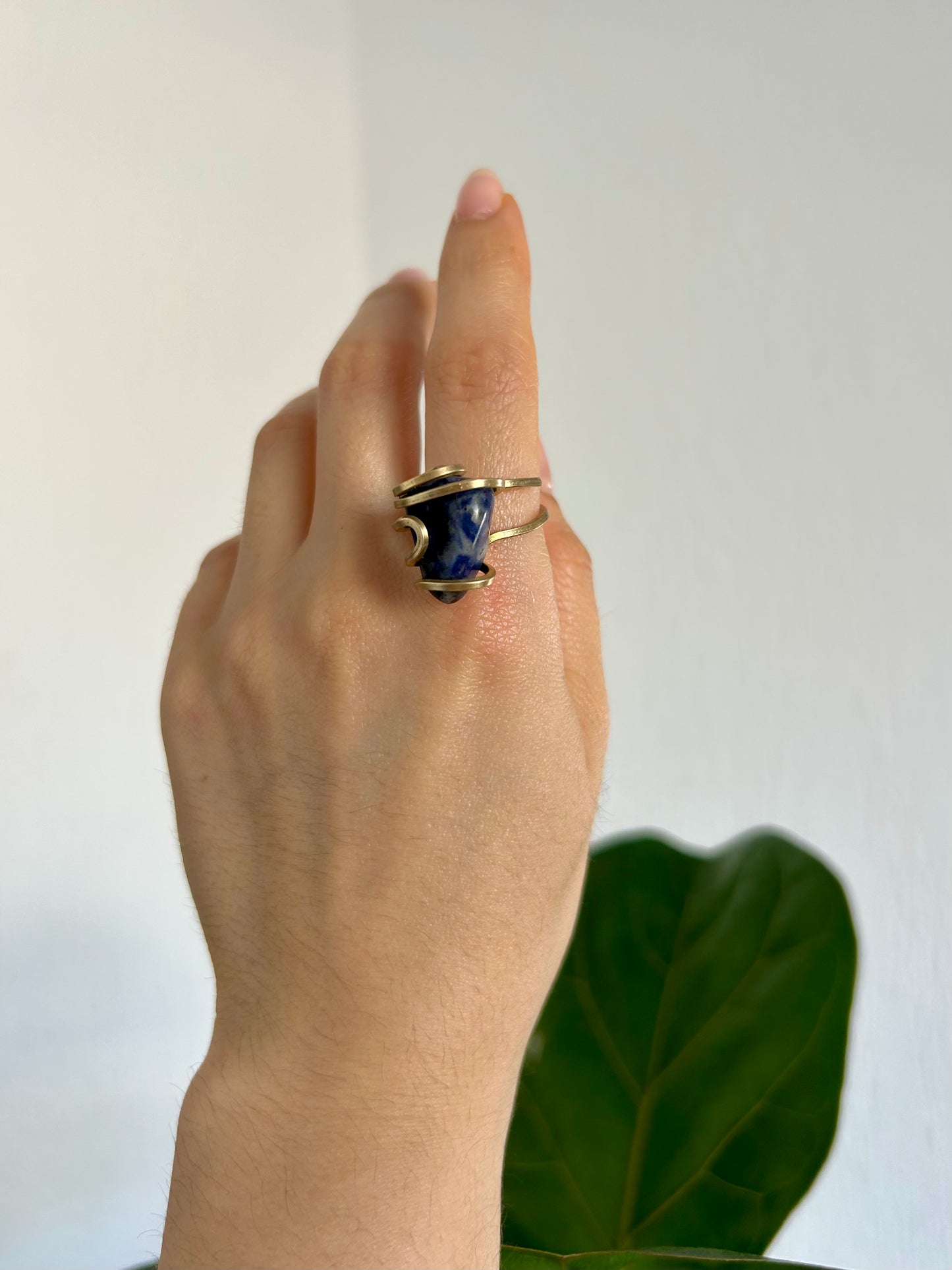 Anillo Sodalita