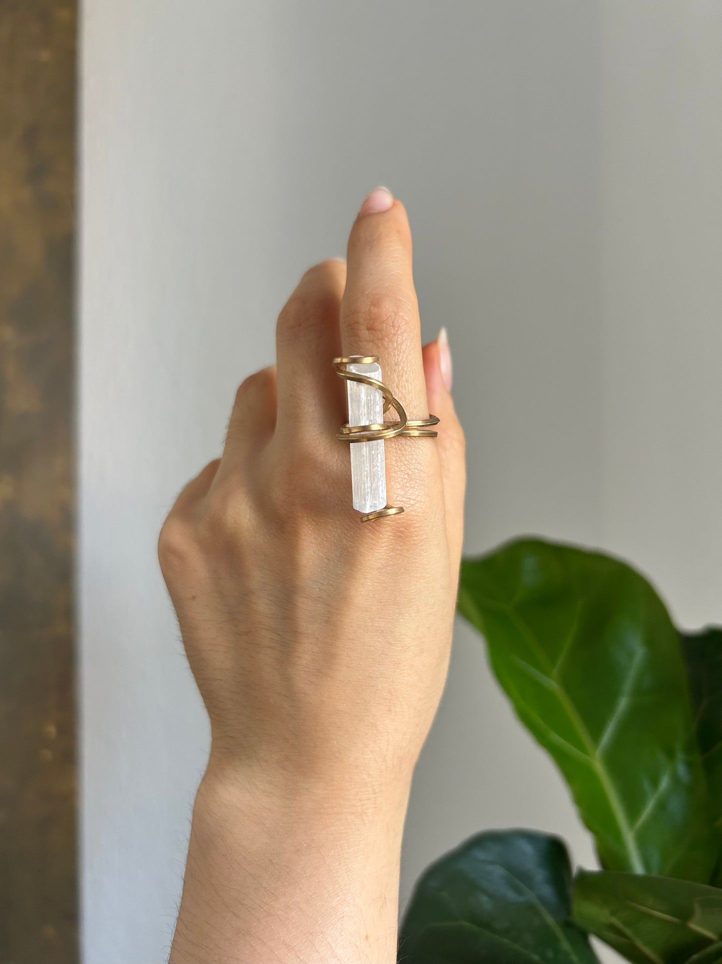 Anillo Selenita