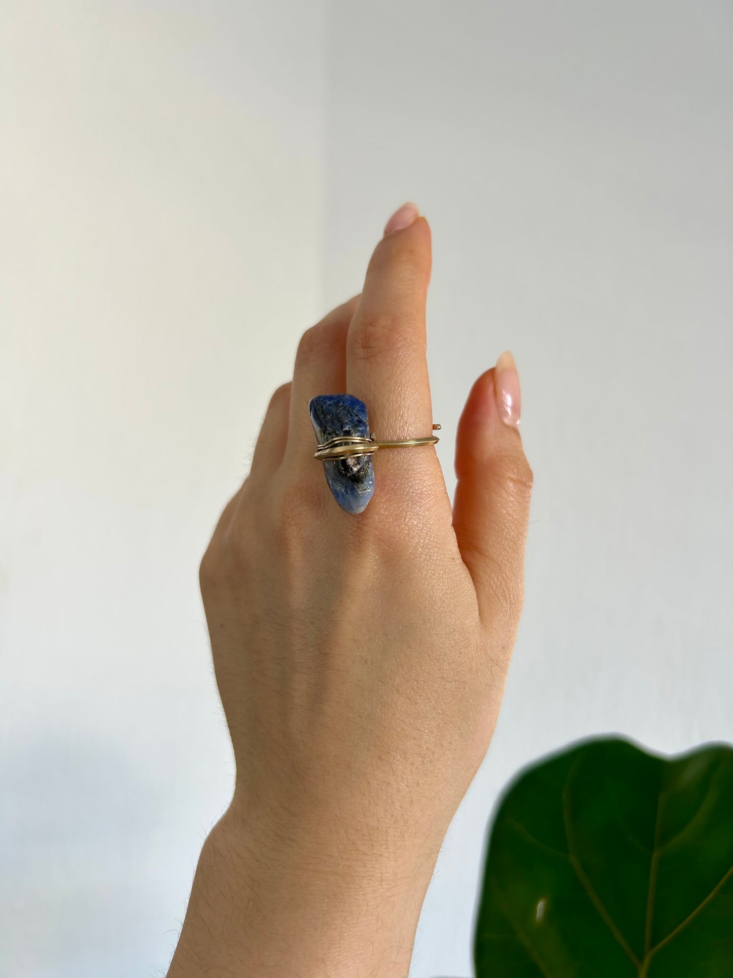 Anillo Sodalita