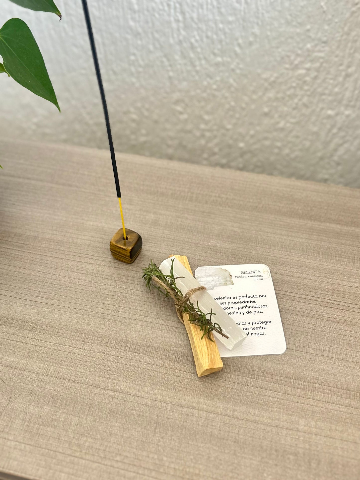 Luz y energía • Kit de Limpieza🌿