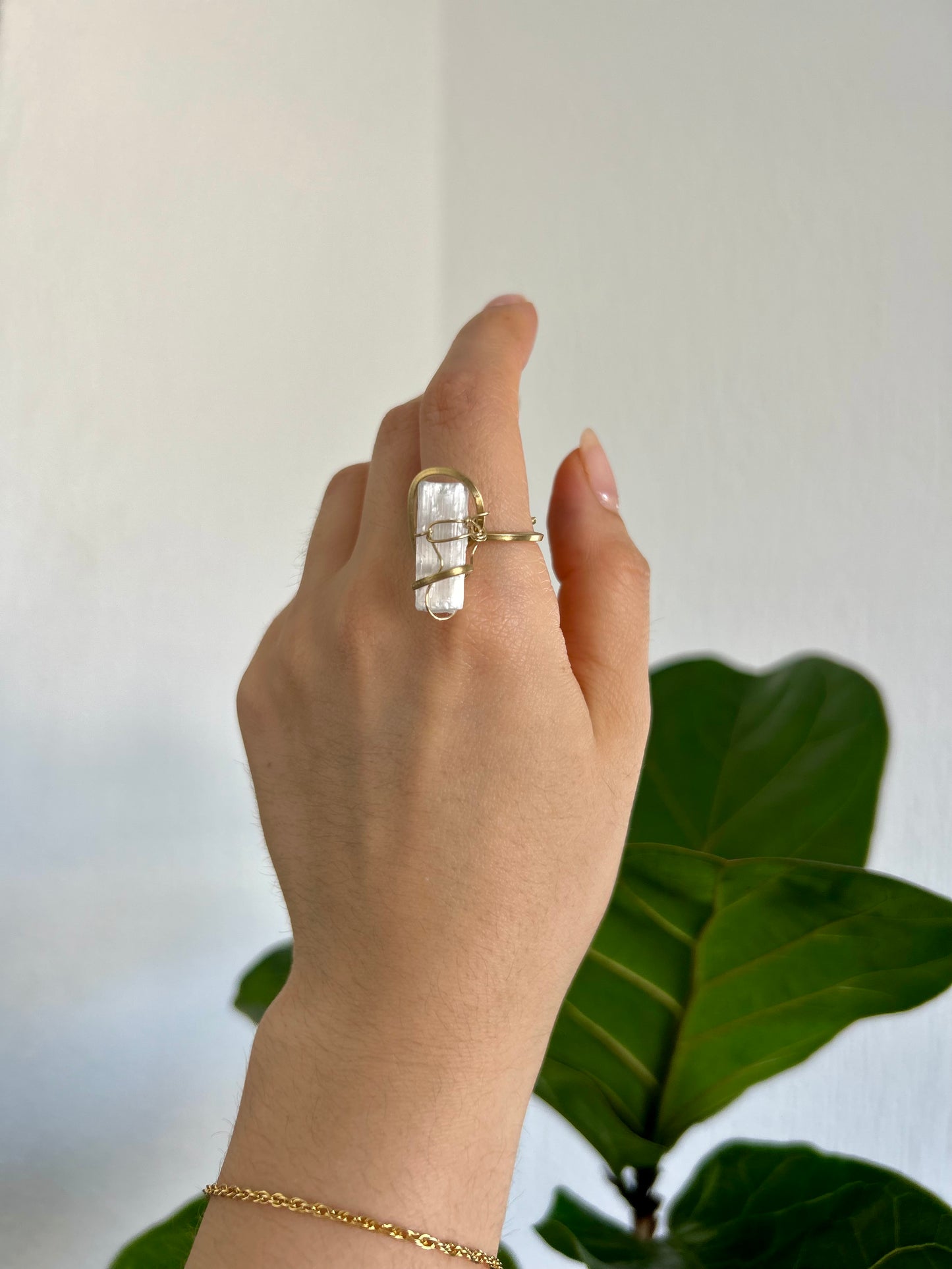 Anillo Selenita