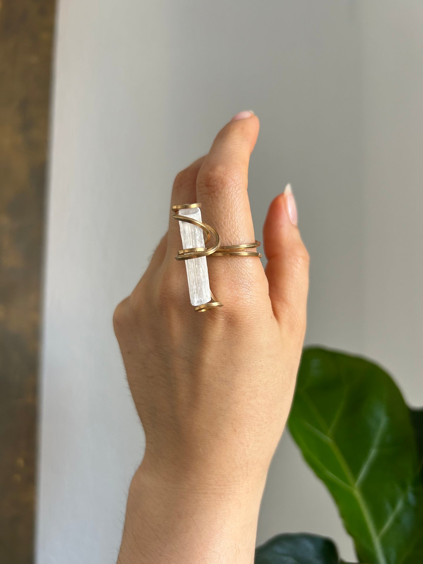 Anillo Selenita