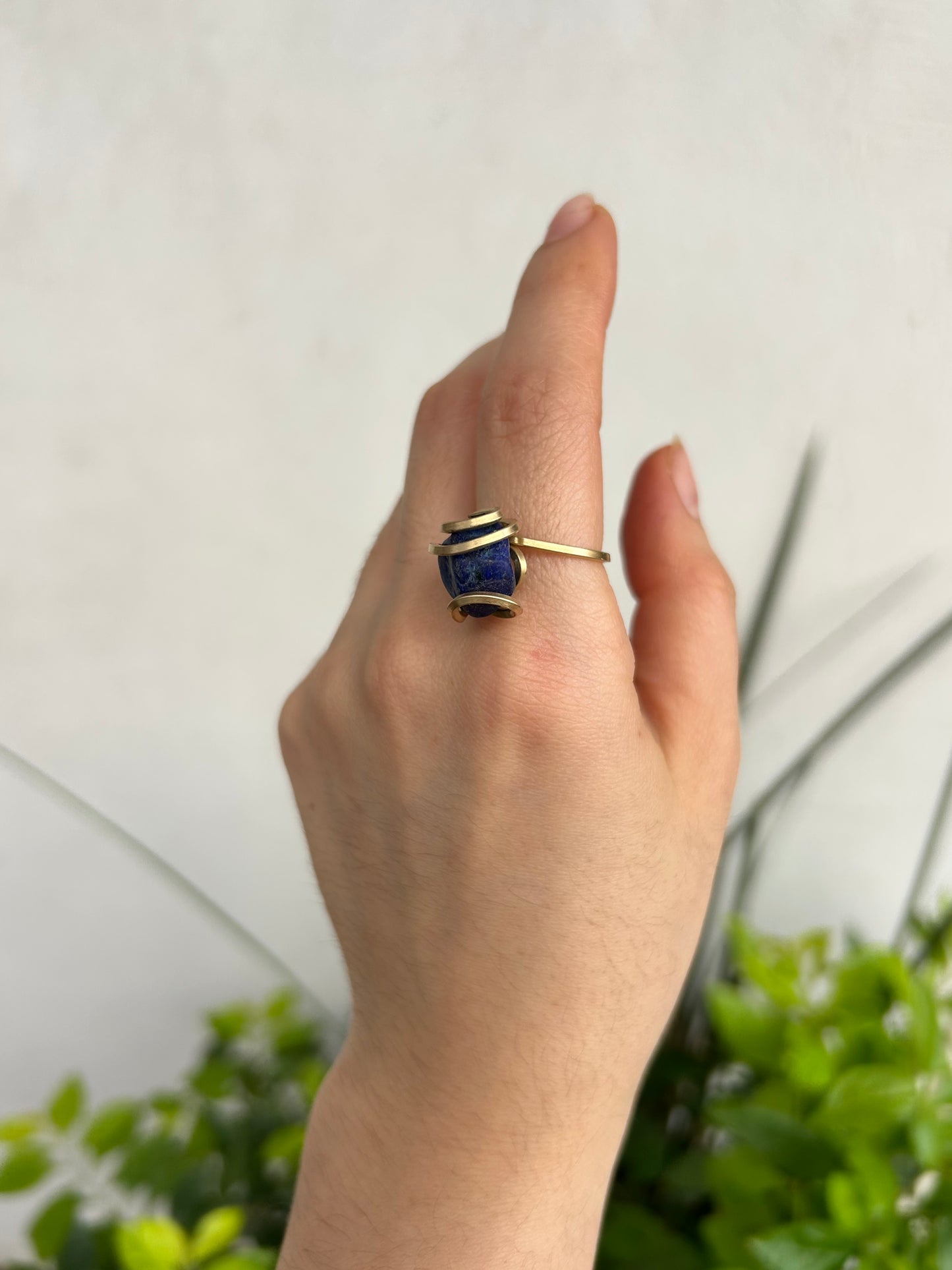 Anillo Sodalita