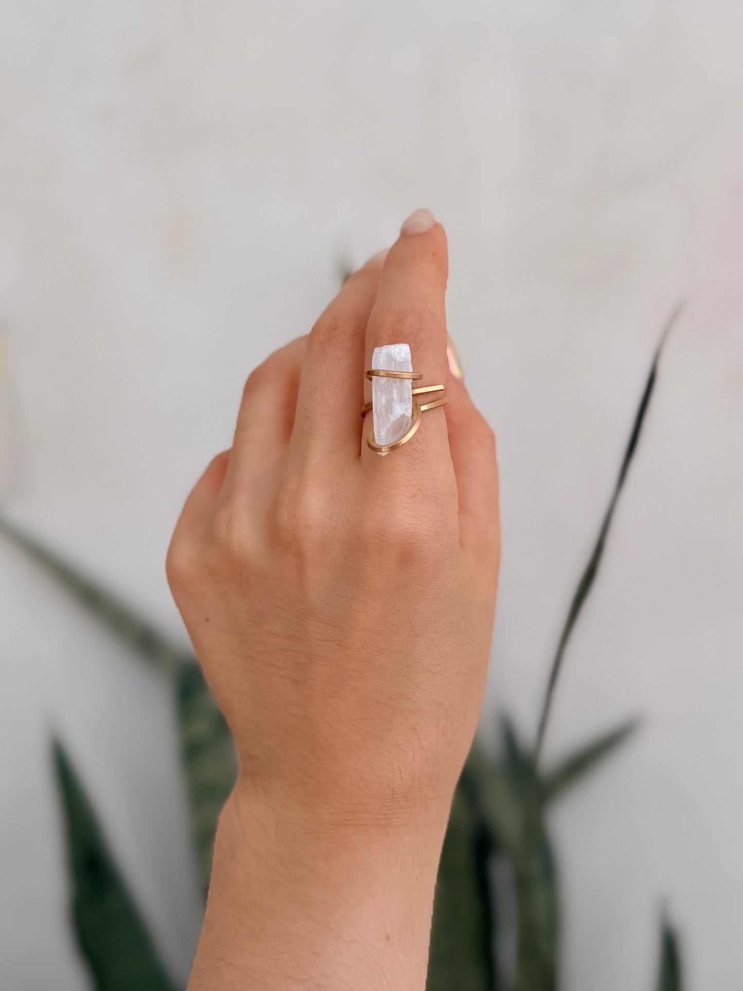 Anillo Selenita
