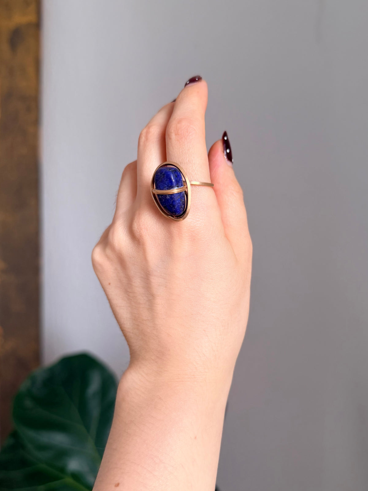 Anillo Sodalita