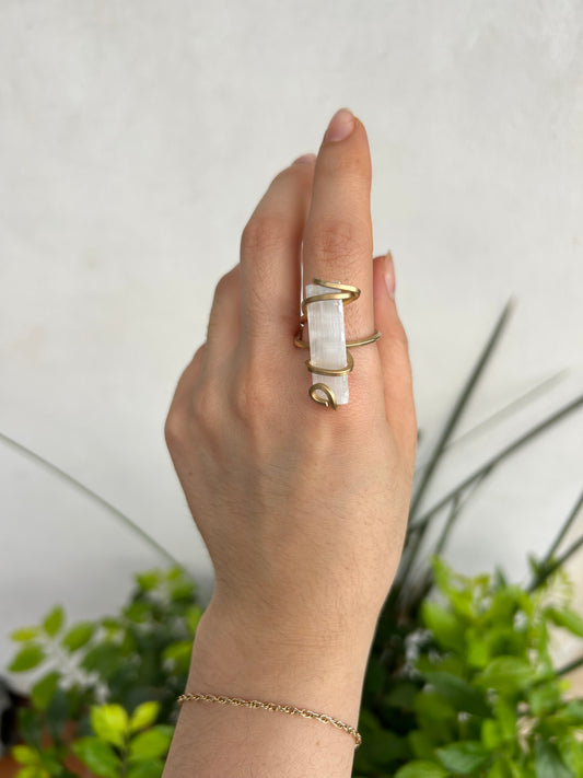 Anillo Selenita